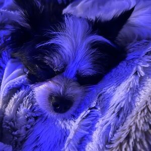 Meet your Posher, June